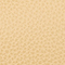 SUBTLE YELLOW