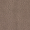 BRAUN