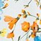 WEISS/ BLAU/ ORANGE