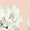 ROSÉ/ WEISS/ GRÜN