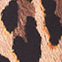 CAMEL/ SCHWARZ/ CREME