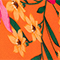 ORANGE/ GRÜN/ PINK