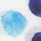 WEISS/ BLAU