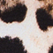 SCHWARZ/ BEIGE/ ECRU