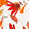 ECRU/ ORANGE