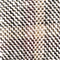 GRAU/ BEIGE