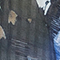 BLAU/ GRÜN