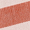 ORANGE/ ECRU