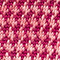 FUCHSIA/ ROSA