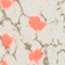 ECRU/ TAUPE/ NEONORANGE
