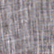 DUNKELGRAU/ ECRU