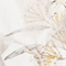 WEISS/ OLIV