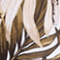 WEISS/ OLIV/ ROT