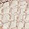 CREME/ DUNKELBRAUN