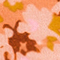 HELLORANGE/ HELLGRÜN