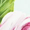 MINT/ GRÜN/ ROT