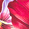 HELLBLAU/ PINK/ GRÜN