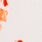 WEISS/ ROT
