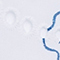 WEISS/ BLAU