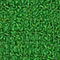 301 Dark Green 301