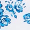 WEISS/ BLAU