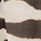 CREME/ DUNKELBRAUN