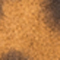 BRAUN/ SCHWARZ