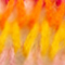 ORANGE/ GRÜN/ PINK