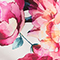 CREME/ ROSA/ GELB