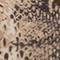 BEIGE/ SCHWARZ