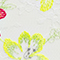 WEISS/ GELB/ FUCHSIA