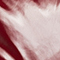 282 CARBERNET