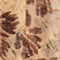 BEIGE/ DUNKELBRAUN