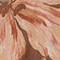 OLIV/ BRAUN/ ROSÉ
