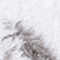 WEISS/ GRAU