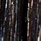 SCHWARZ/ GOLD/ SILBER