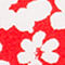 ROT/ WEISS