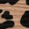 BRAUN/ SCHWARZ