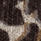 BRAUN/ SCHWARZ
