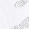 WEISS