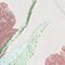 CREME/ GRÜN/ ROSA