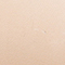 4738 FAIRLY LIGHT
