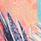 LACHS/ BLAU/ TÜRKIS