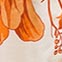 ECRU/ ORANGE