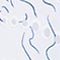 BLAU/ WEISS