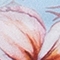 BLAU/ ROSA