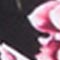 SCHWARZ/ WEISS/ ROSA
