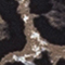 BRAUN/ SCHWARZ