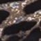 BRAUN/ SCHWARZ