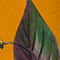 DUNKELORANGE/ GRÜN/ ROT
